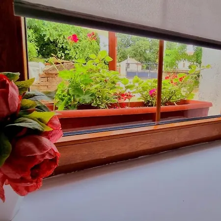 Apartamento Port Of Happiness